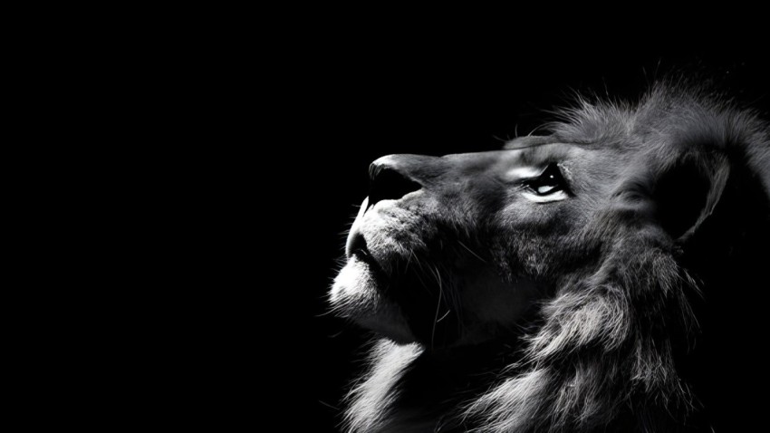 Wallpaper 1920x1080 4K with Black Screen