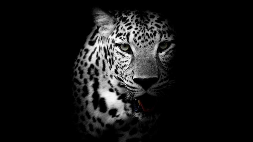 Wallpaper Black Desktop for Laptop 4K