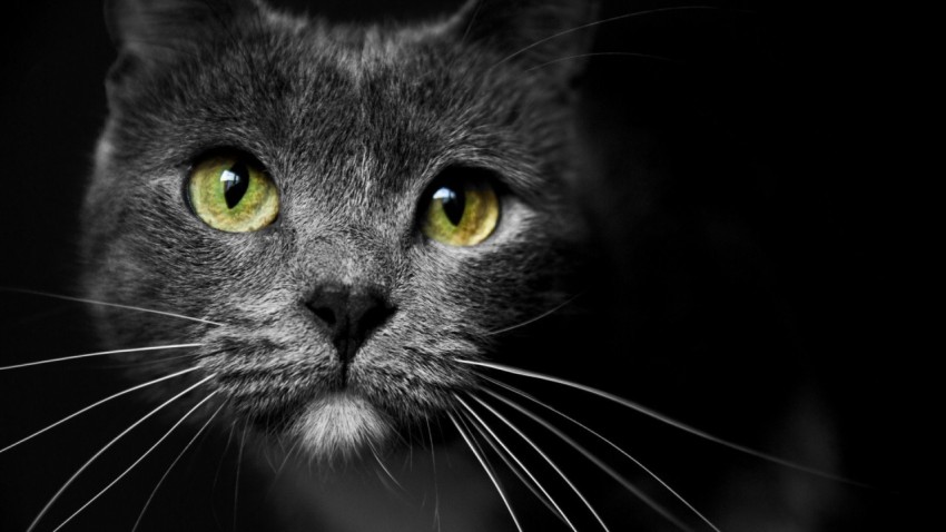Wallpaper Black Desktop for PC 4K