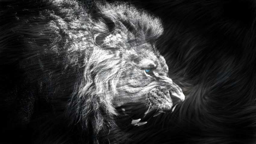 Desktop Wallpaper Black for PC 4K