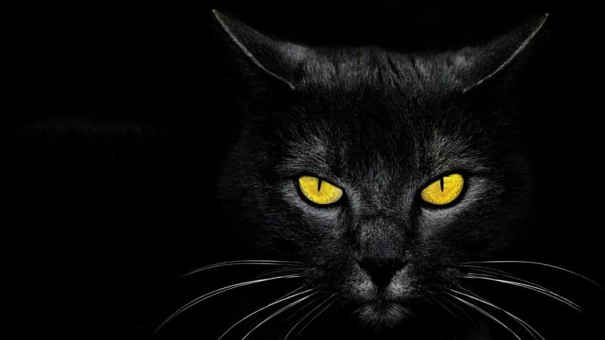Black Wallpaper 1920x1080 4K for Computer