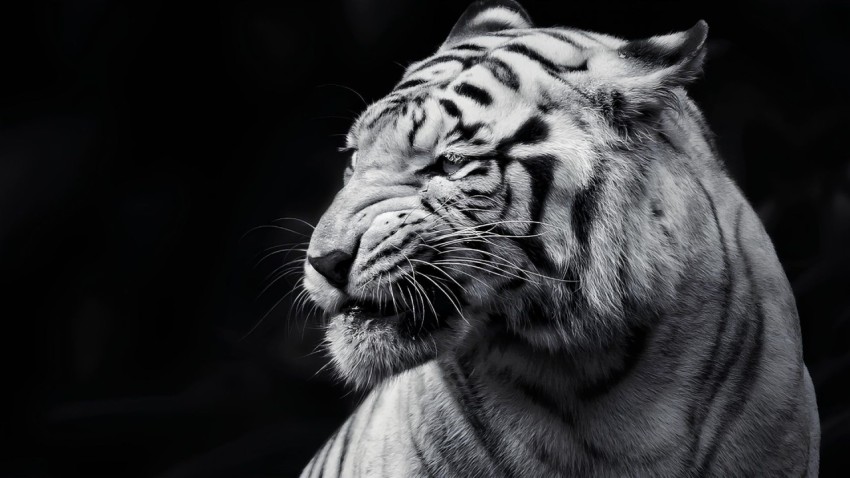1920x1080 Wallpaper Black 4K for Laptop