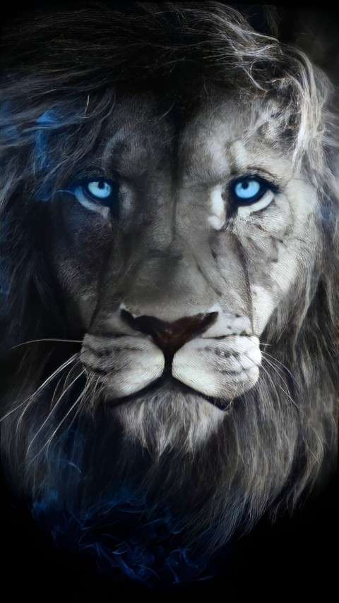 Wallpaper Black Lion 4K for Phone