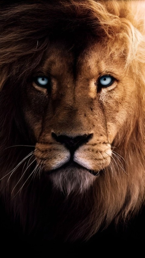 Wallpaper for Phone HD with High Quality