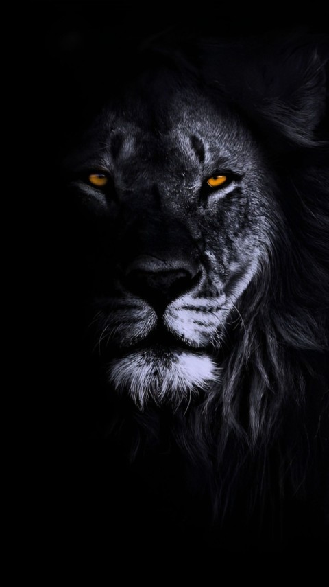 Wallpaper Dark Background for Phone 4K
