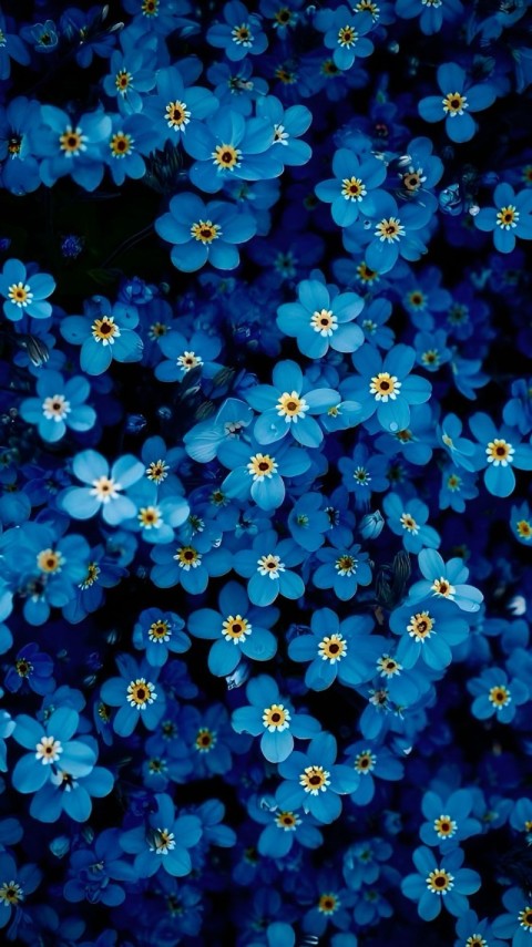 Wallpaper Flowers Background 4K for Phones