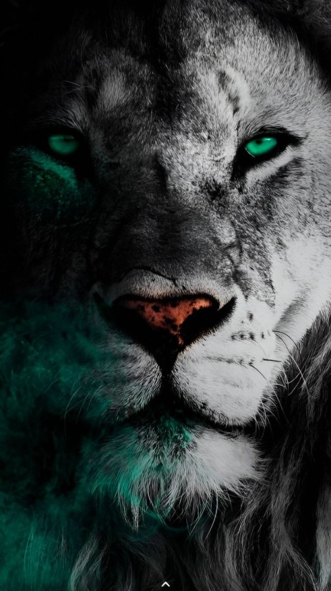 iPhone Wallpaper Dark 4K for Phones