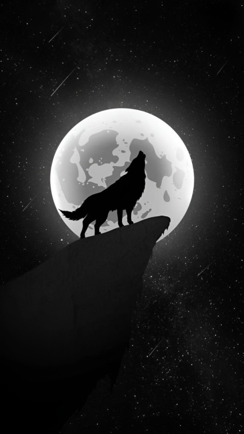 White Wallpaper Black for Phone 4K