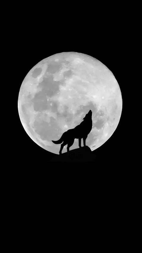 Wallpaper Black and White 4K for Phone