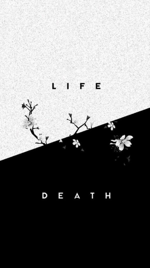 Wallpaper Black and White for Phone 4K