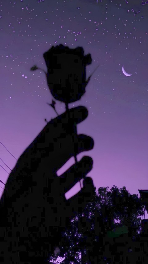 Wallpaper Black and Purple HD for Mobile