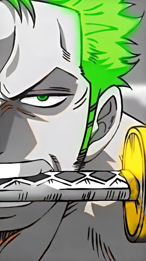 Zoro Roronoa Wallpaper 4K for Phone