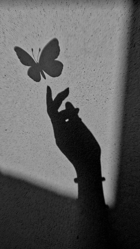 Black Wallpaper Aesthetic Butterfly HD for Mobile