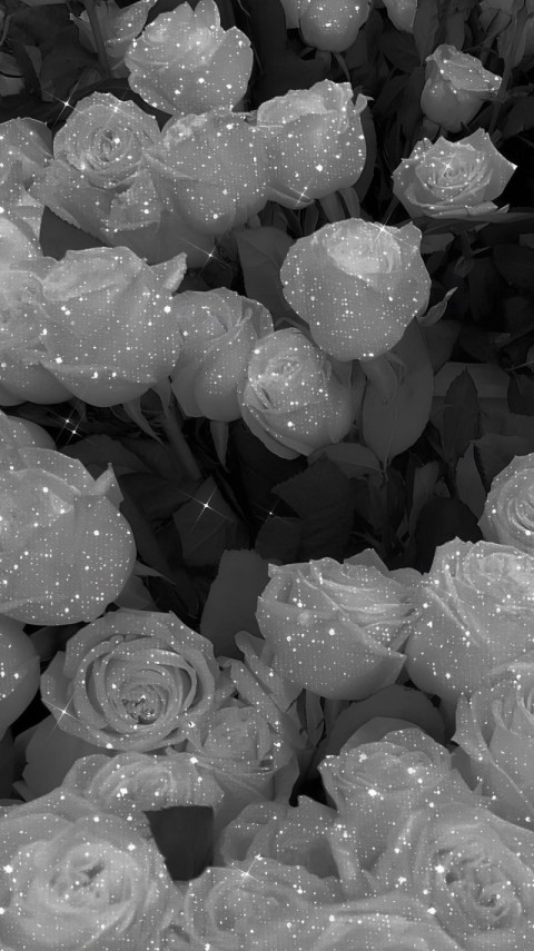 Wallpaper Aesthetic Black Flowers for Phone 4K