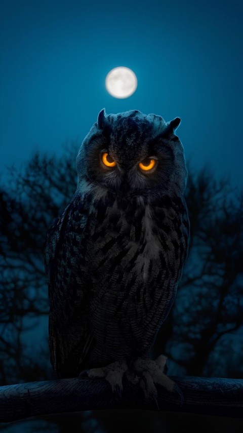 Wallpaper Dark HD and 4K Owl for Phone